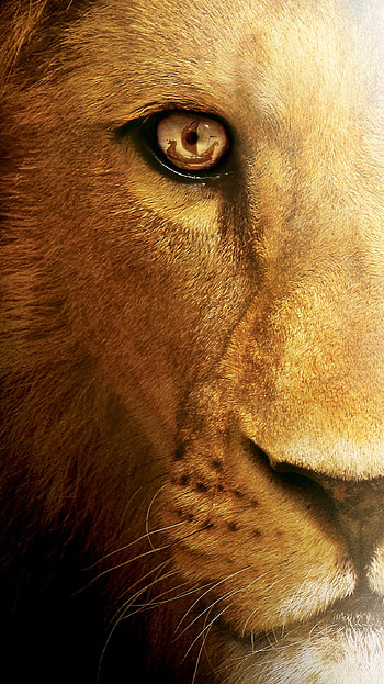The Chronicles of Narnia: The Voyage of the Dawn Treader (2022) movie HD phone wallpaper
