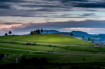 Nature, Trees, Grass, Sky, Road, Hill HD wallpaper
