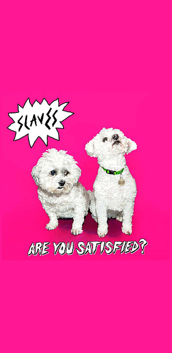 Slaves- Are you Satisfied? Album cover, music HD phone wallpaper