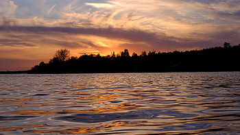 Landscape View Of Trees Forest Ocean Water Ripple During Sunset Silhouette Background Nature HD wallpaper