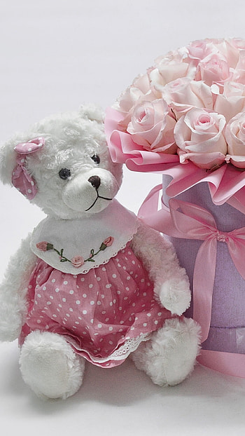Cute Teddy, Beautiful, Pink Frock, rose HD phone wallpaper