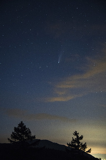Stars, Night, Dark, Silhouette, Starry Sky, Fir, Spruce HD phone wallpaper
