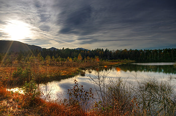 Nature, Autumn, Lake, Forest HD wallpaper