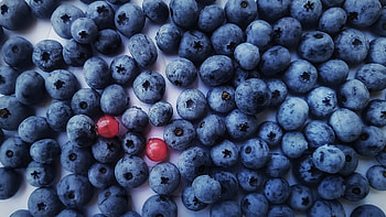 macro, food, fruit HD wallpaper