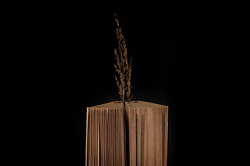 Dark, Miscellanea, Miscellaneous, Branch, Book HD wallpaper