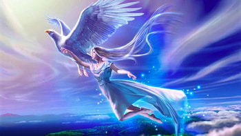 Come fly, flying, angel, anime, bird HD wallpaper