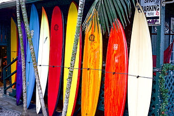 Vibrant surfboards on display at a surf shop in Haleiwa, Hawaii, showcasing tropical colors. HD wallpaper