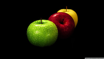 Standard ... HD wallpaper