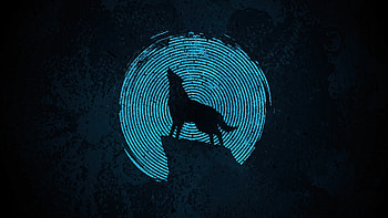 Wolf Make It , wolf, artist, artwork, digital-art HD wallpaper