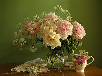 still life, bouquet, gentle, graphy, peonies, kettle, lace, beauty, nice, flower, , water, elegantly, peony, beautiful, pink, pretty, cool, flowers, lovely, harmony HD wallpaper