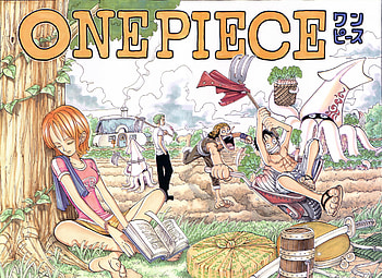 Nami, Anime, Zoro, One Piece, Manga HD wallpaper