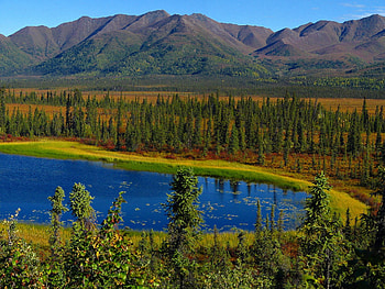 Wrangell, St. Elias National Park, Alaska, blue, parrk, landscape, alaska, elias, mountain, lake, wrangell, trees, national, nature, sky, water, forest, st HD wallpaper