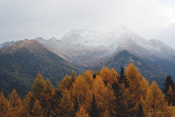 Stunning view of mountains with autumn foliage and misty peaks. HD wallpaper
