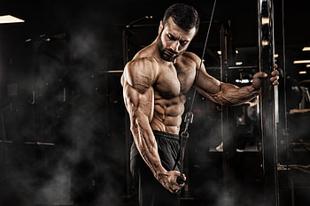 Fitness, Muscle definition, Gym equipment, Body transformation HD wallpaper