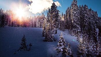 Winter , resolution HD wallpaper