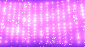 Broadway Light Show Background Pink / Purple Motion Graphic - YouTube HD wallpaper