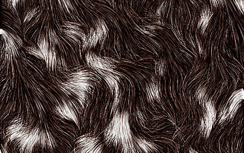 Wavy fur texture, Close-up view, Wool textures, Brown fur HD wallpaper