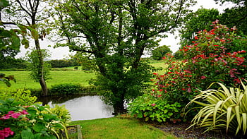 A serene landscape featuring a lush garden, vibrant flowers, and a peaceful pond. HD wallpaper
