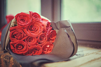 Flowers, Roses, Drops, Bouquet HD wallpaper