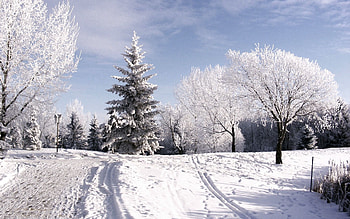 Winter, Nature, Trees, Sky, Clouds, Snow, Frost, Hoarfrost, Traces, Climb, Lift, Ski, Piste HD wallpaper