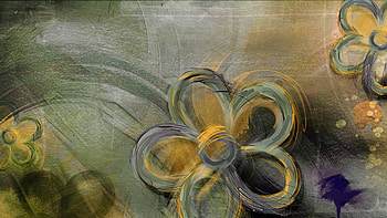 Flowers, Background HD wallpaper