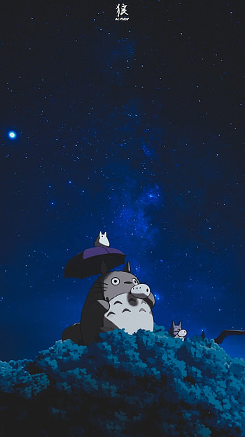 My Neighbor Totoro, anime x reality, sky, anime aesthetic, night, anime , ghibli studio, anime HD phone wallpaper