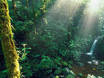 monteverde, sunsets HD wallpaper