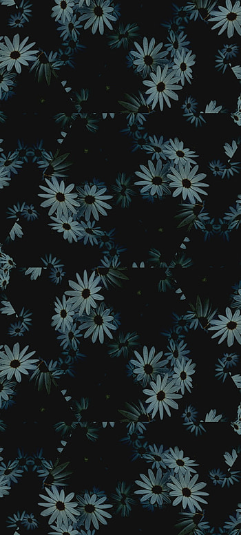 Flores, flor HD phone wallpaper