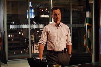 Gary Sinise, Mac Taylor, Fanpop HD wallpaper