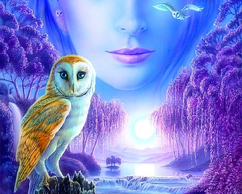 Moonlit Owl, blue, attractions in dreams, colors, purple, owls, love four seasons, fantasy, animals, trees, rivers, moons HD wallpaper
