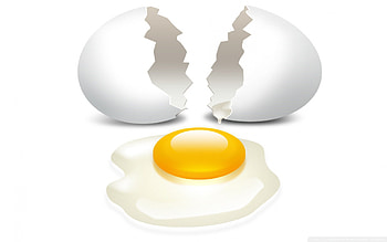 Egg, chicken, omlette, hen HD wallpaper