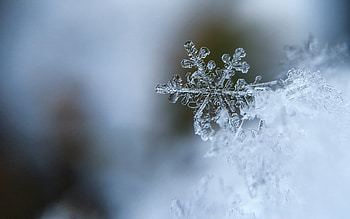 Snowflake, winter, cold, ze HD wallpaper
