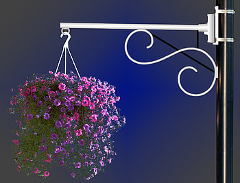 pink and purple, purple, pink, hanging, flowers, pot HD wallpaper