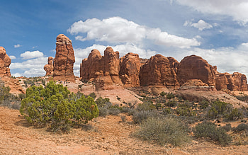 Nature, Desert, Vegetation, Shrubs, Canyons HD wallpaper