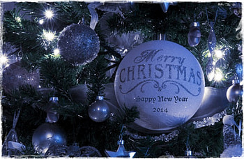 Merry Christmas, wishes, happy new year, ever green HD wallpaper
