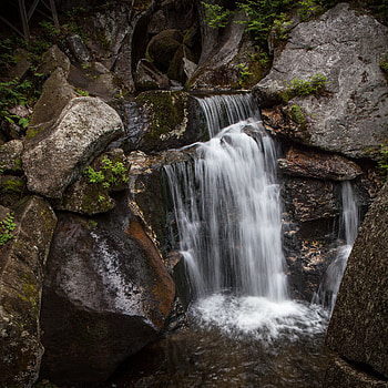 Plants, Nature, Stones, Rocks, Waterfall, Flow, Moss, Stream HD phone wallpaper