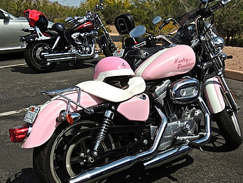 Pink Harley-Davidson, Hot, Motocycles, Speed, Harley-Davidson, Pink HD wallpaper