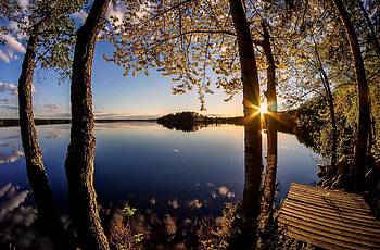 Sunrise, Dawn, Tree, Lake, Nature HD wallpaper