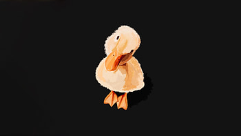 Duckling Minimal , duck, ducklings, birds, dark, black, minimalism, minimalist, artist, artwork, digital-art, behance HD wallpaper