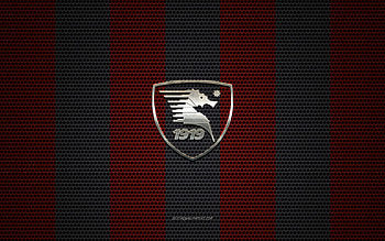 U.S. Salernitana 1919, soccer, club, logo, italian, football, emblem, sport, crest HD wallpaper