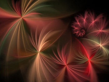 caterpillar, colors, spiral, rainbow HD wallpaper