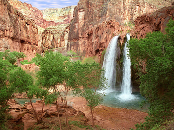 Nature, Trees, Canyon, Waterfall, Greens, Arizona, Havasu Falls HD wallpaper