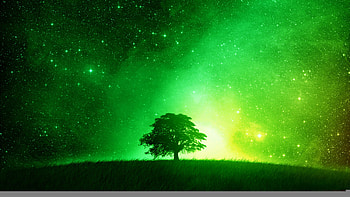 lime green backgrounds amazing background windows high quality artworks ultra HD wallpaper