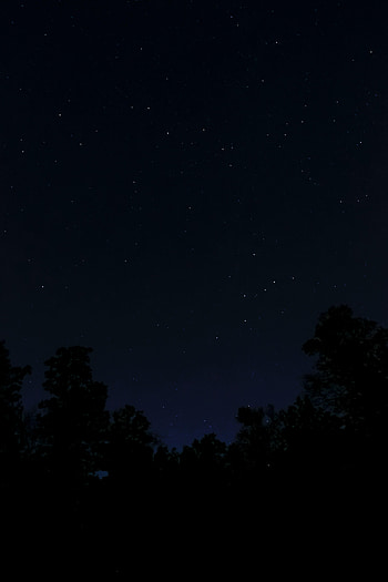 Trees, Stars, Night, Dark, Darkness HD phone wallpaper