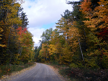 Autumn Back Road, graphy, Trees, Nature, Autumn, Clouds, Sky HD wallpaper