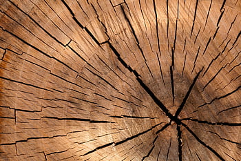 Detailed view of rustic wooden texture, showcasing natural patterns and cracks. HD wallpaper