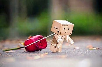 I hope she like it :) HD wallpaper