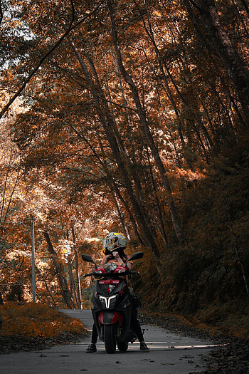 Alley, Motorcycles, Girl, Helmet, Motorcycle, Bike HD phone wallpaper