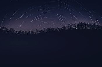 Trees, Stars, Night, Dark, Darkness HD wallpaper