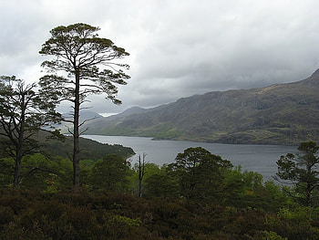 Loch Maree - Scotland, Loch Maree, Scottish Highlands, Scottish Lochs, Scotland HD wallpaper